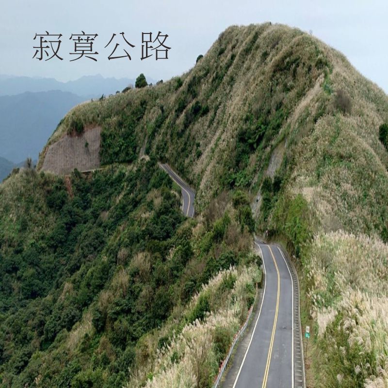 寂寞公路